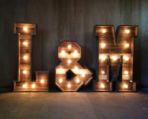 Light Up L & M Initials